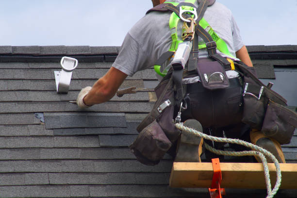 Best Roof Gutter Cleaning  in Kapaa, HI